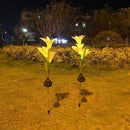 Flor de Lírio Lâmpada LED Solar
